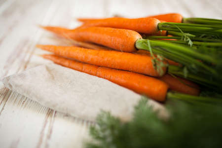 Fresh organic carrotの写真素材