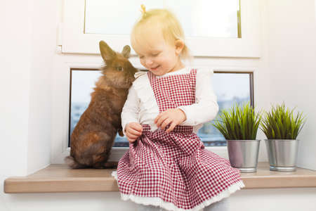 Cute little girl with a bunnyの写真素材