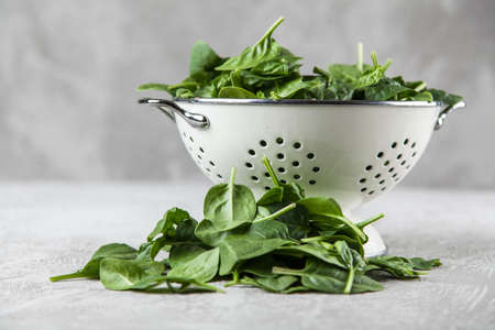 Baby spinach leavesの写真素材