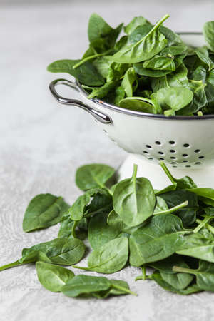 Baby spinach leavesの写真素材