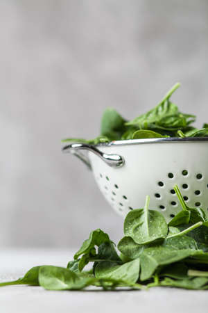 Baby spinach leavesの写真素材