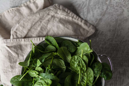 Baby spinach leavesの写真素材