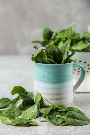 Baby spinach leavesの写真素材