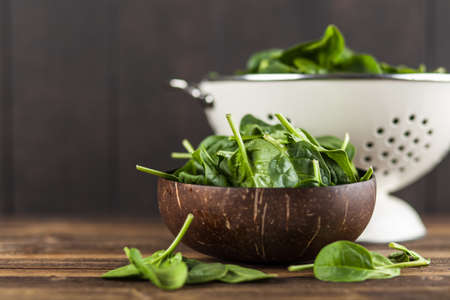 Baby spinach leavesの写真素材