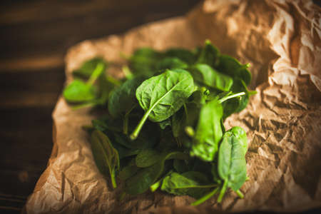 Baby spinach leavesの写真素材