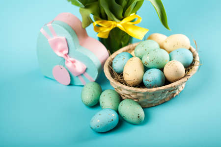 Yellow tulips on blue backgroundの写真素材