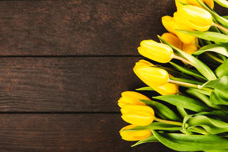 Yellow tulips on wooden backgroundの写真素材