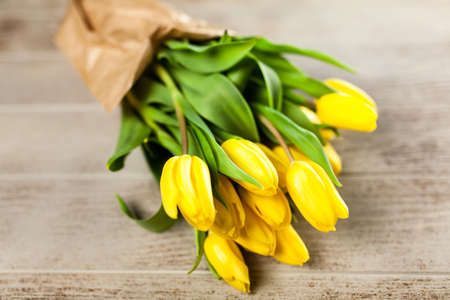 Yellow tulips on wooden backgroundの写真素材
