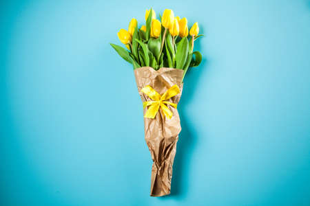 Yellow tulips on blue backgroundの写真素材