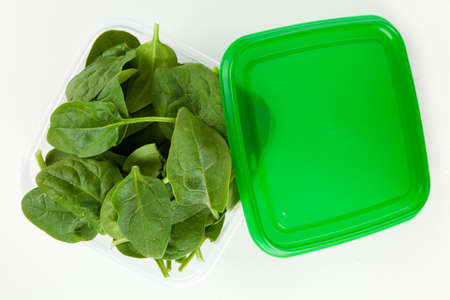 Baby spinach leavesの写真素材