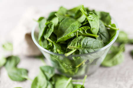 Baby spinach leavesの写真素材