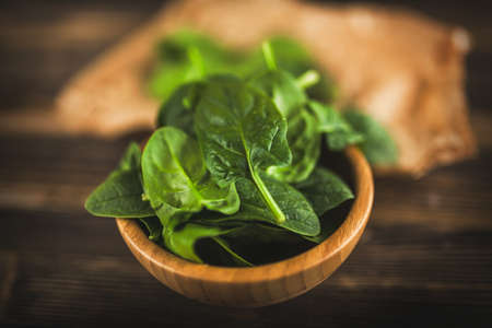 Baby spinach leavesの写真素材