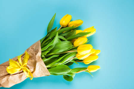 Yellow tulips on blue backgroundの写真素材
