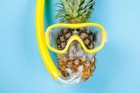 Pineapple in a snorkeling maskの写真素材