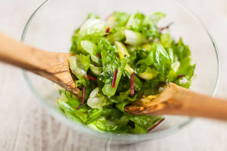 Fresh green saladの写真素材