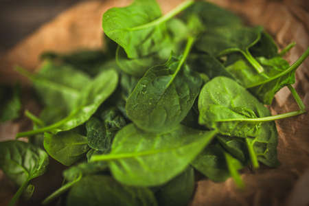 Baby spinach leavesの写真素材