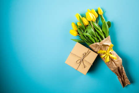 Yellow tulips on blue backgroundの写真素材