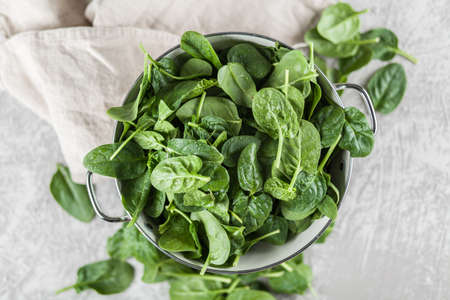 Baby spinach leavesの写真素材