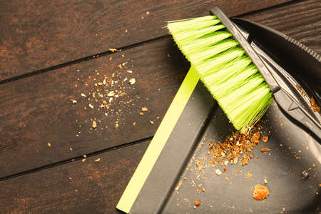 Brush and scoopの写真素材