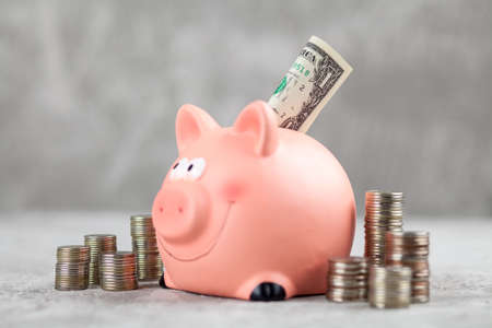 Piggy bank on grey backgroundの写真素材