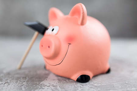 Piggy bank on grey backgroundの写真素材