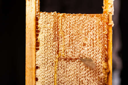 Honeycomb in a wooden frame