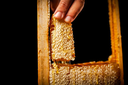 Honeycomb in a wooden frame