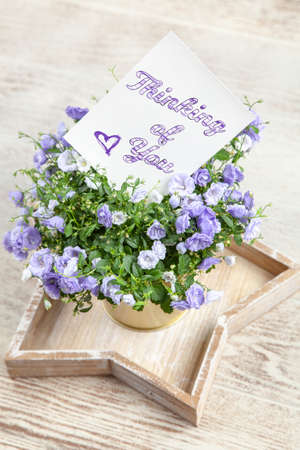 Thinking of You postcardの写真素材