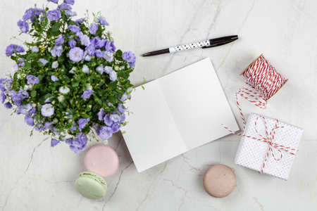 Writing a postcardの写真素材