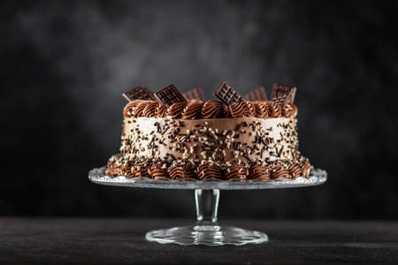 Chocolate cake on dark backgroundの写真素材