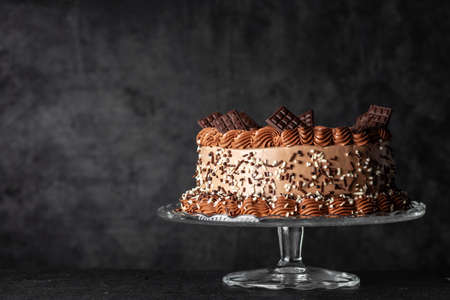 Chocolate cake on dark backgroundの写真素材