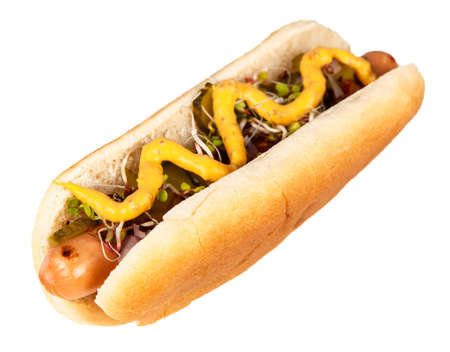 Delicious hotdogs isolated on white backgroundの写真素材