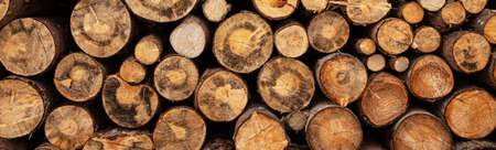 Fireplace wood logs side textureの写真素材