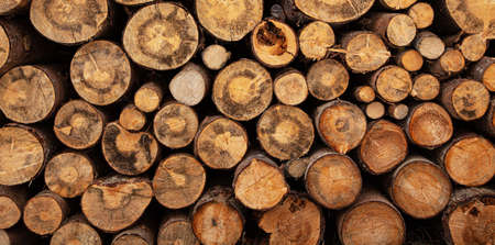 Fireplace wood logs side textureの写真素材