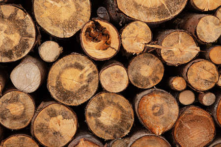 Fireplace wood logs side textureの写真素材