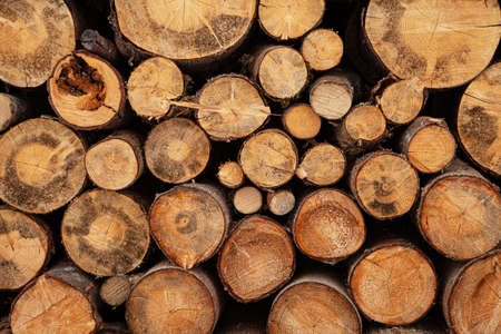 Fireplace wood logs side textureの写真素材