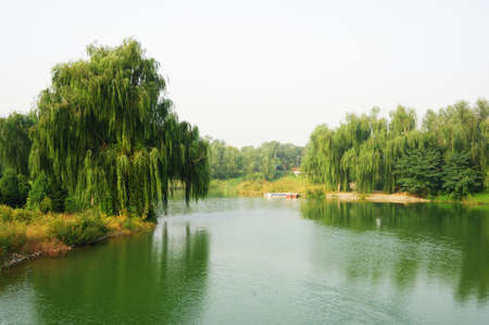 Landscape of the river in the parkの写真素材