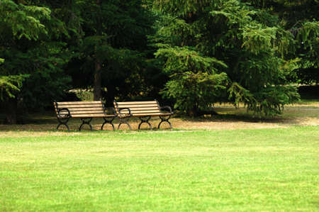 two bench under the tree whith grassplot in park.の写真素材