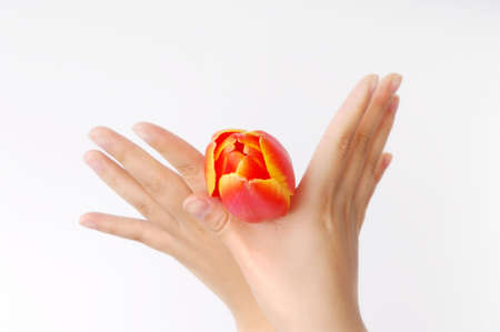 a tulip on girl's hand with gesture for victory.の写真素材