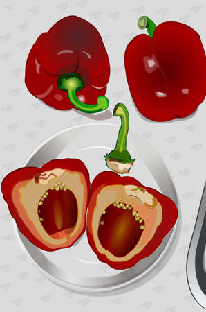 Paprikaのイラスト素材