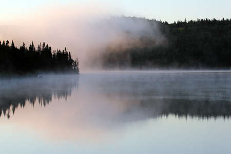 calm lake in a wild forest taken in the morningの写真素材