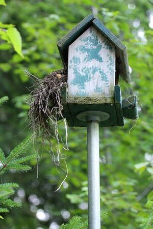closeup of a bird feeder house with a nest in it