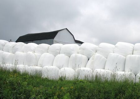 pile of grass bale on a farmlandの写真素材