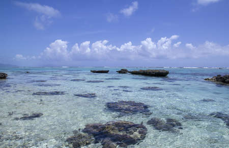seascape with crystal water and coral reefの写真素材