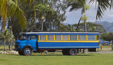 colorful school bus on a green tropical fieldの写真素材