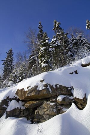 rock cliff with pine tree and snow at winterの写真素材
