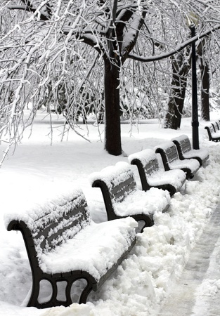image of a urban park after a huge snowfallの写真素材