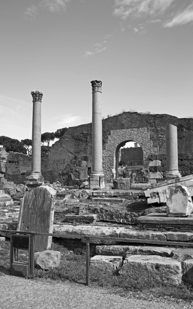 black and white view of Romanum Forum, Romeの写真素材