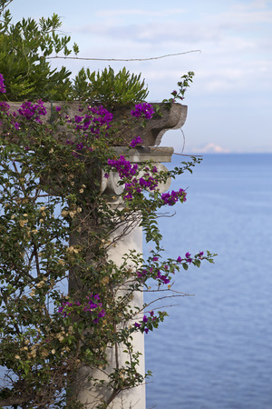 Detail of a column on the cliff of Sorrento, Italyの写真素材