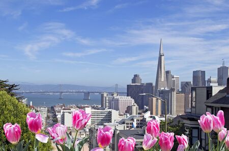 San Francisco city in the dayの写真素材